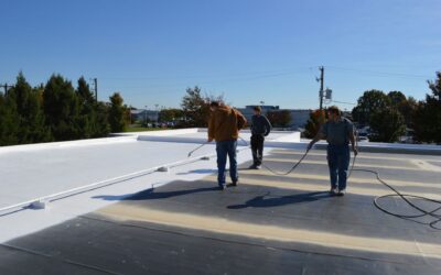 5 Reasons Your Springfield Business Needs a Commercial Roof Check Today!