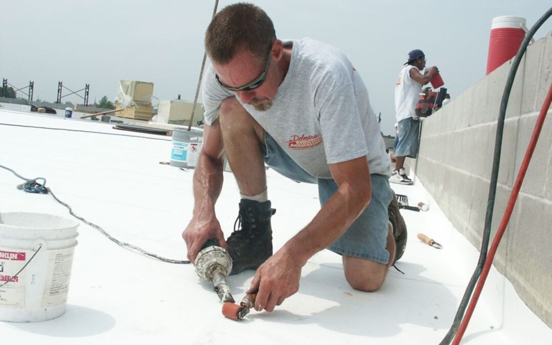 D&N Coatings | Commercial Roof Contractors in Springfield Focused on Detail-Driven, Long-Lasting Work