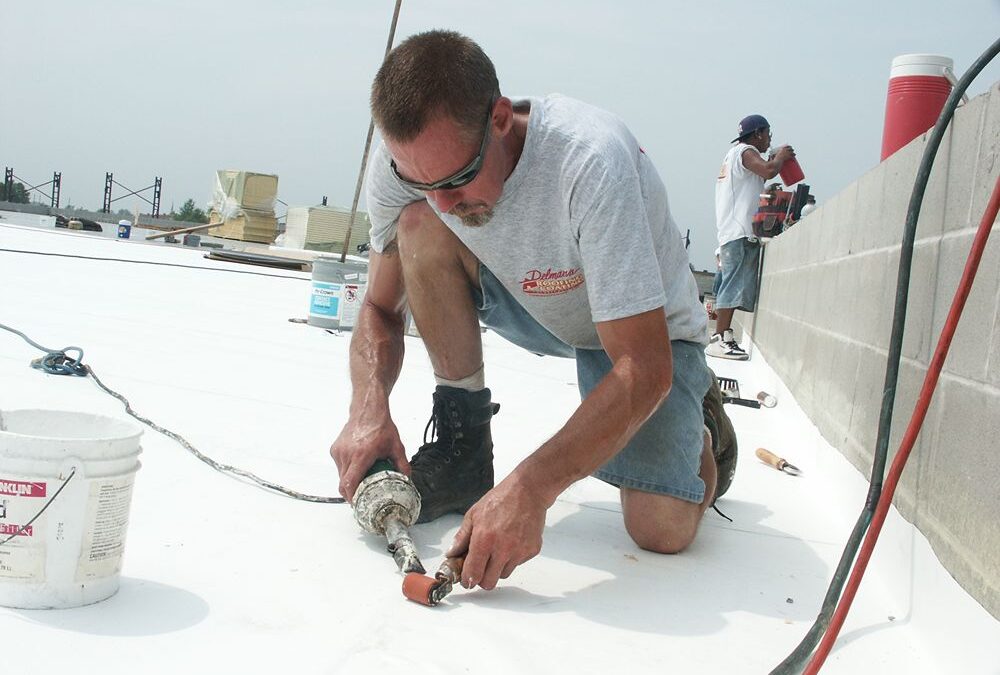 Roof Leak Repair in Springfield: Spot Early Warning Signs with D&N Coatings to Prevent Costly Damage