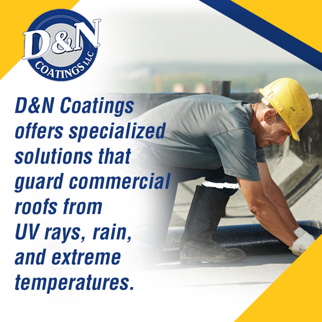 D & N Coatings 1 v2