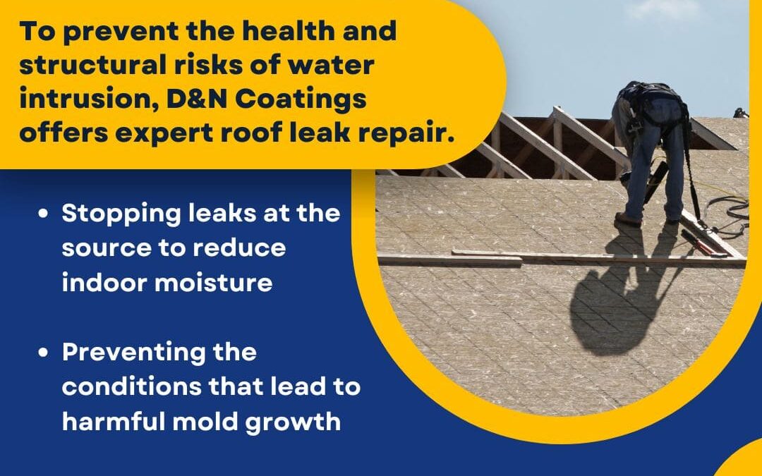 How D&N Coatings Roof Leak Repair Improves Indoor Air Quality and Prevents Mold Growth Effectively