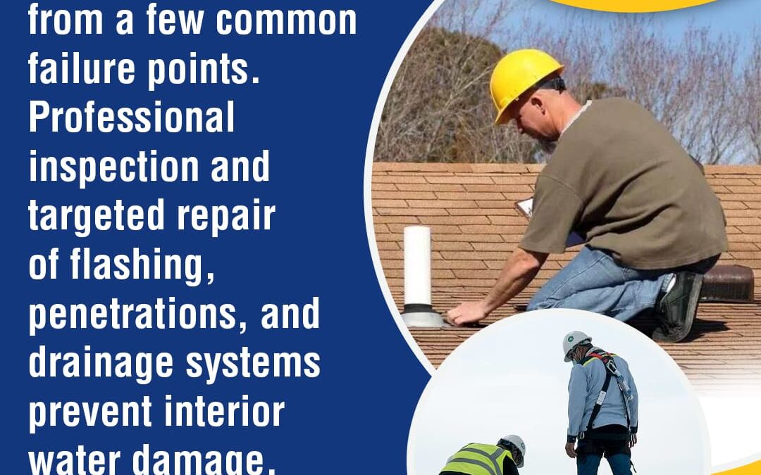A blue and yellow graphic with the D&N Coatings LLC logo. The text reads, "Most commercial roof leaks originate from a few common failure points. Professional inspection and targeted repair of flashing, penetrations, and drainage systems prevent interior water damage." On the right, a photograph shows two circular insets. The top inset shows a worker in a hardhat inspecting a shingled roof. The bottom inset shows two workers on a metal roof, one of whom is wearing a safety harness.