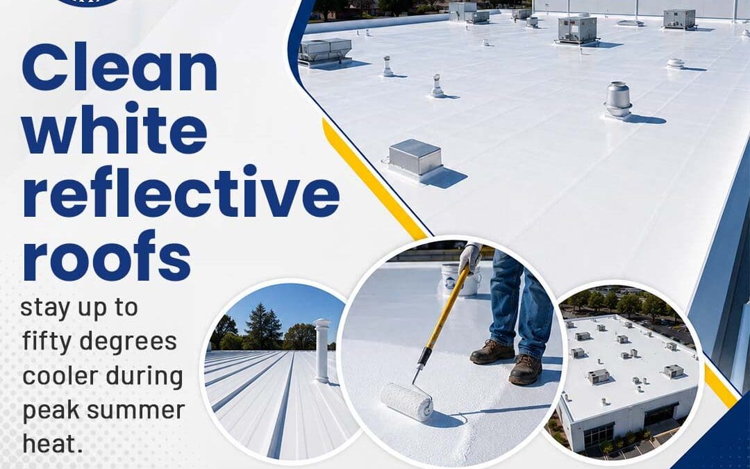 How Eco-Friendly Roof Coatings Help Businesses Save Energy?